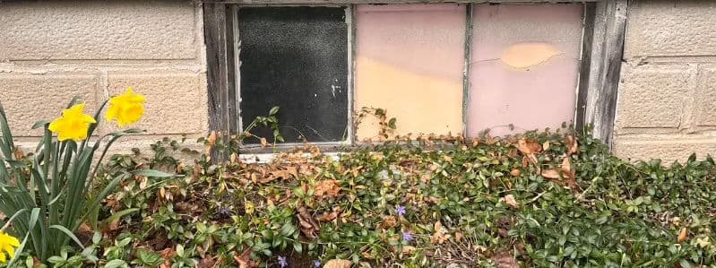 Colorful patch of flowers and vintage window with vibrant glass panes and surrounding greenery.